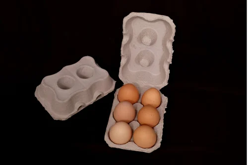 Classic Open Tray